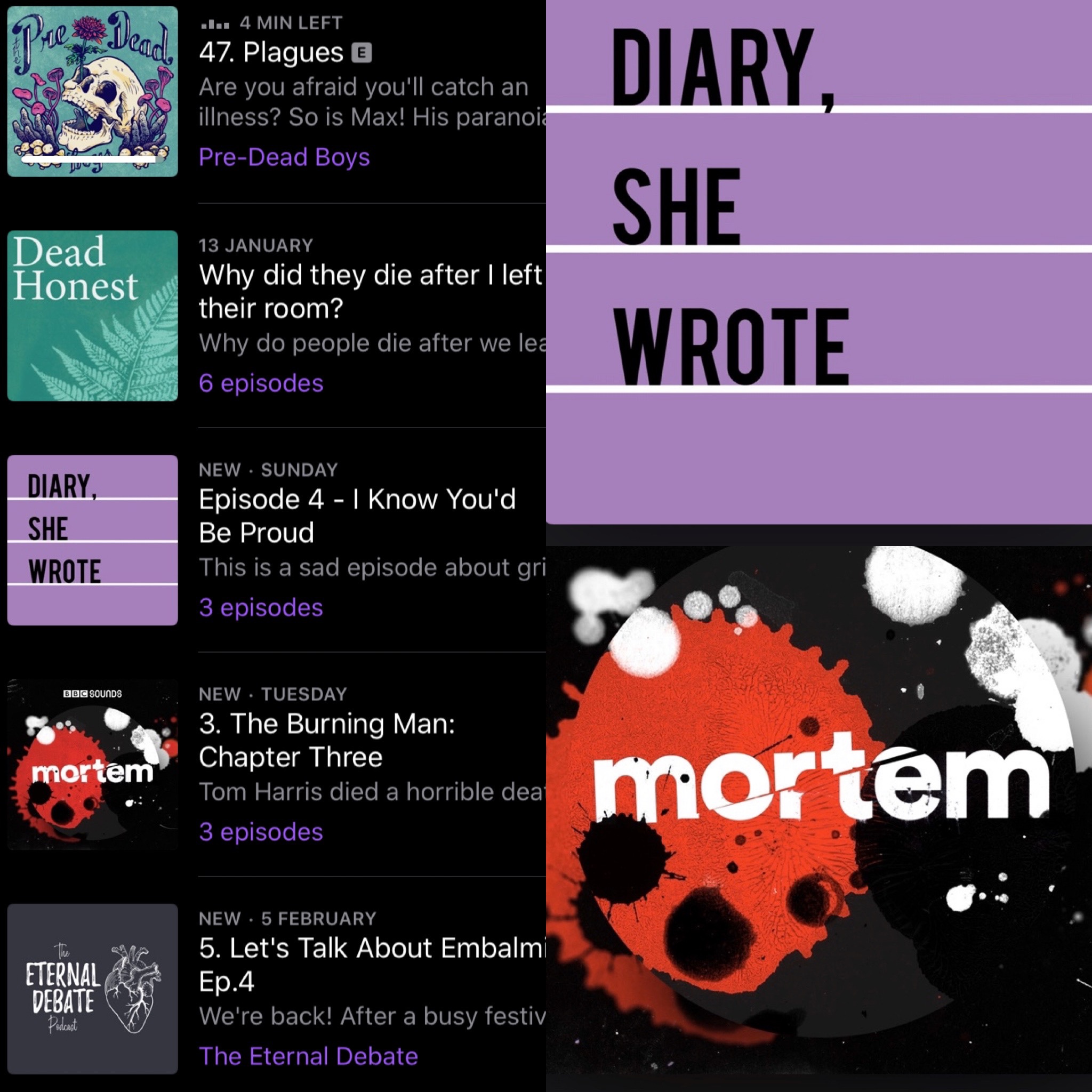 6bb20aca-05be-49d6-9538-ef475857db4b